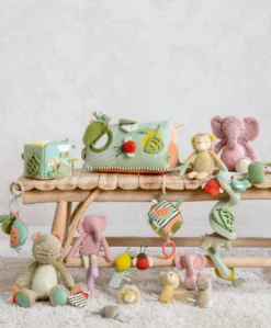 Activity Linkie Toy - Fruit