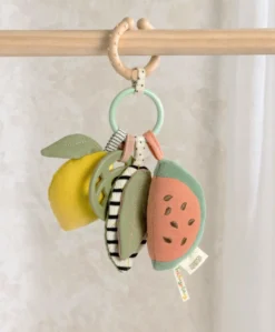 Activity Linkie Toy - Fruit
