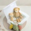 Babyplay Lenny Lion - Small Gift Box