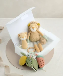 Babyplay Lenny Lion - Small Gift Box