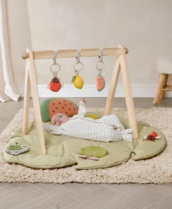 BabyPlay - Wooden Play Arches