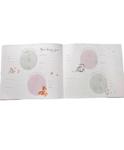 Baby's First Year Record Book