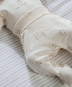 Bear Print Bodysuit & Bottoms Set (2 Pieces)