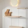 Bear Shelf