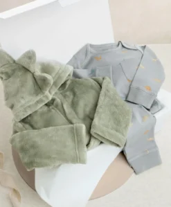 Bedtime Dinosaur Gift Box