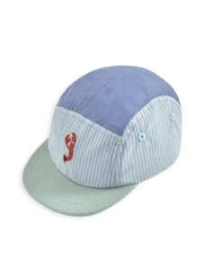 Blue Striped Cap