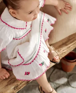 Collared Embroidered Dress