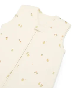 Dreampod Sleep Bag 6-18 months (2.5 Tog) - Orchard