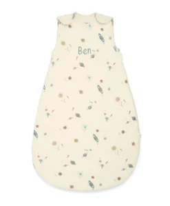 Dreampod Sleep Bag 0-6 months (2.5 Tog) - Planet