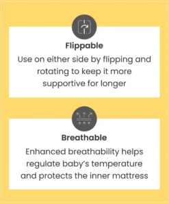 Essential Airflow Fibre Cotbed Mattress
