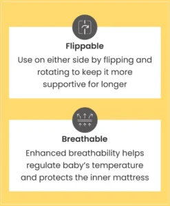 Essential Pocket Spring Petite Cot Mattress