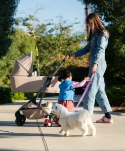 Joolz Aer2 Carrycot - Hazel Brown