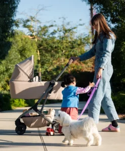 Joolz Aer2 Carrycot - Sandy Taupe