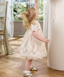 Lace Frill Sleeve Dress