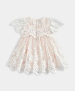 Lace Frill Sleeve Dress