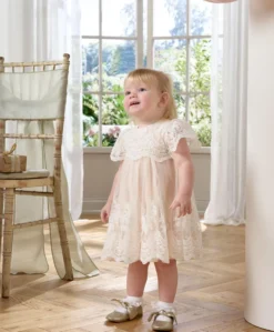 Lace Frill Sleeve Dress