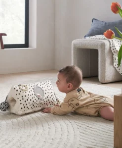 Monochrome Activity Triangle Toy