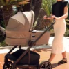 Nuna MIXX Next Pushchair Bundle with ARRA Flex Car Seat & BASE Curv Base - Biscotti