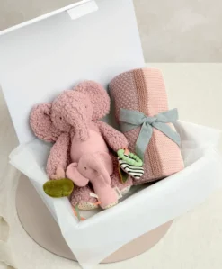 Pink Blanket & Elephant Gift Box