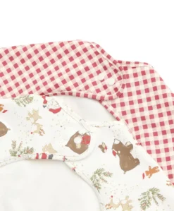 Santa & Friends Long Sleeved Bibs Pack of 2