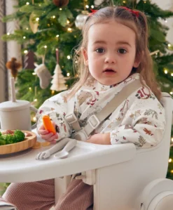 Santa & Friends Long Sleeved Bibs Pack of 2