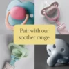 Tommee Tippee Soother Clip - Pink