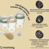 Vital Baby Nurture breast like starter set