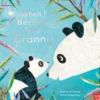 When I Became Your Granny Book