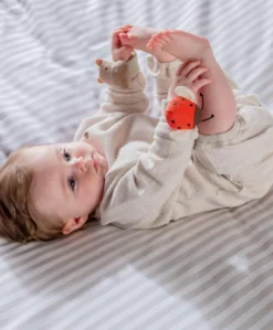 Wrist Rattles - Hippo/Ladybird (2 Pack)