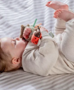 Wrist Rattles - Hippo/Ladybird (2 Pack)
